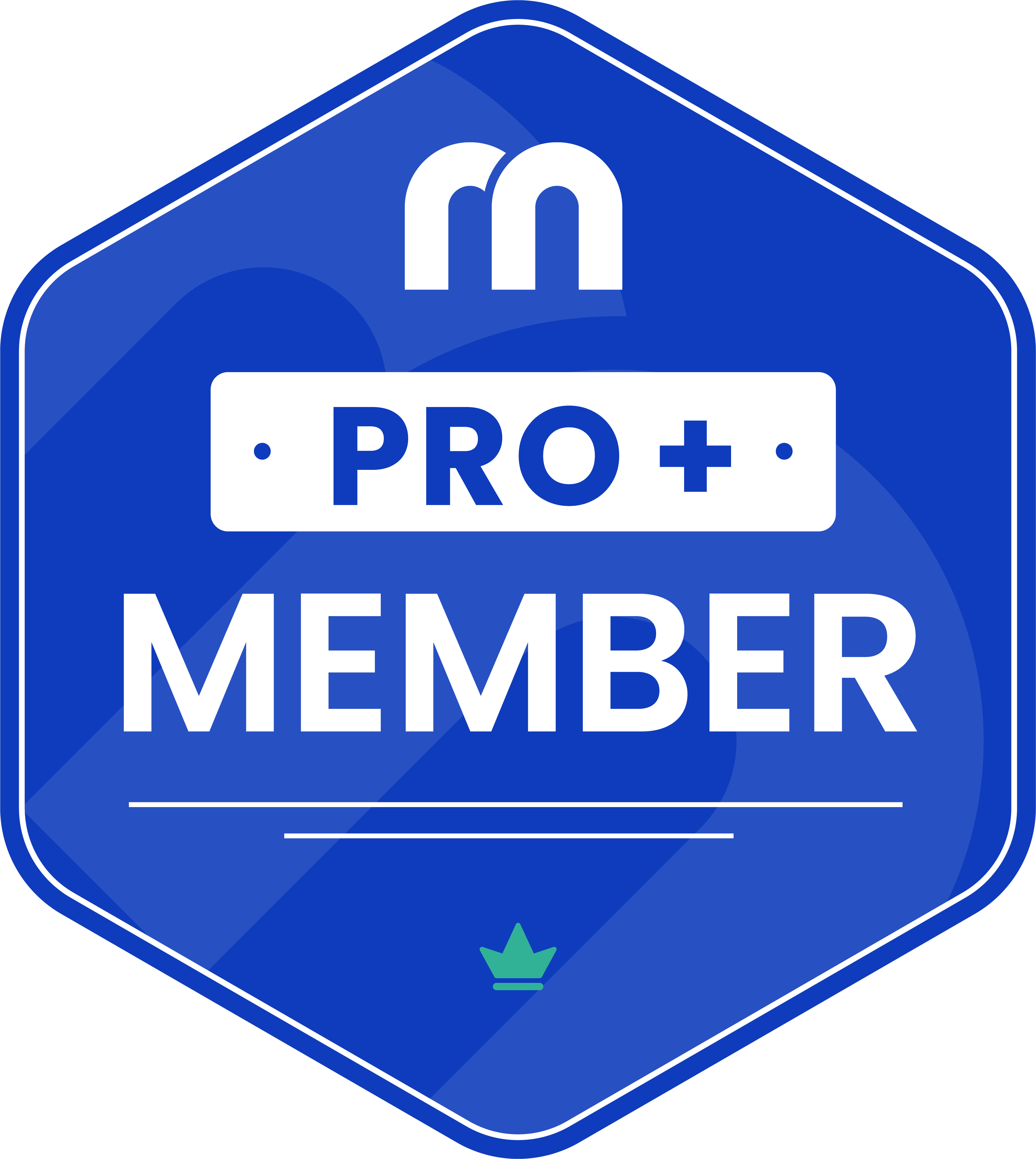 Revenue marketing alliance pro plus membership badge