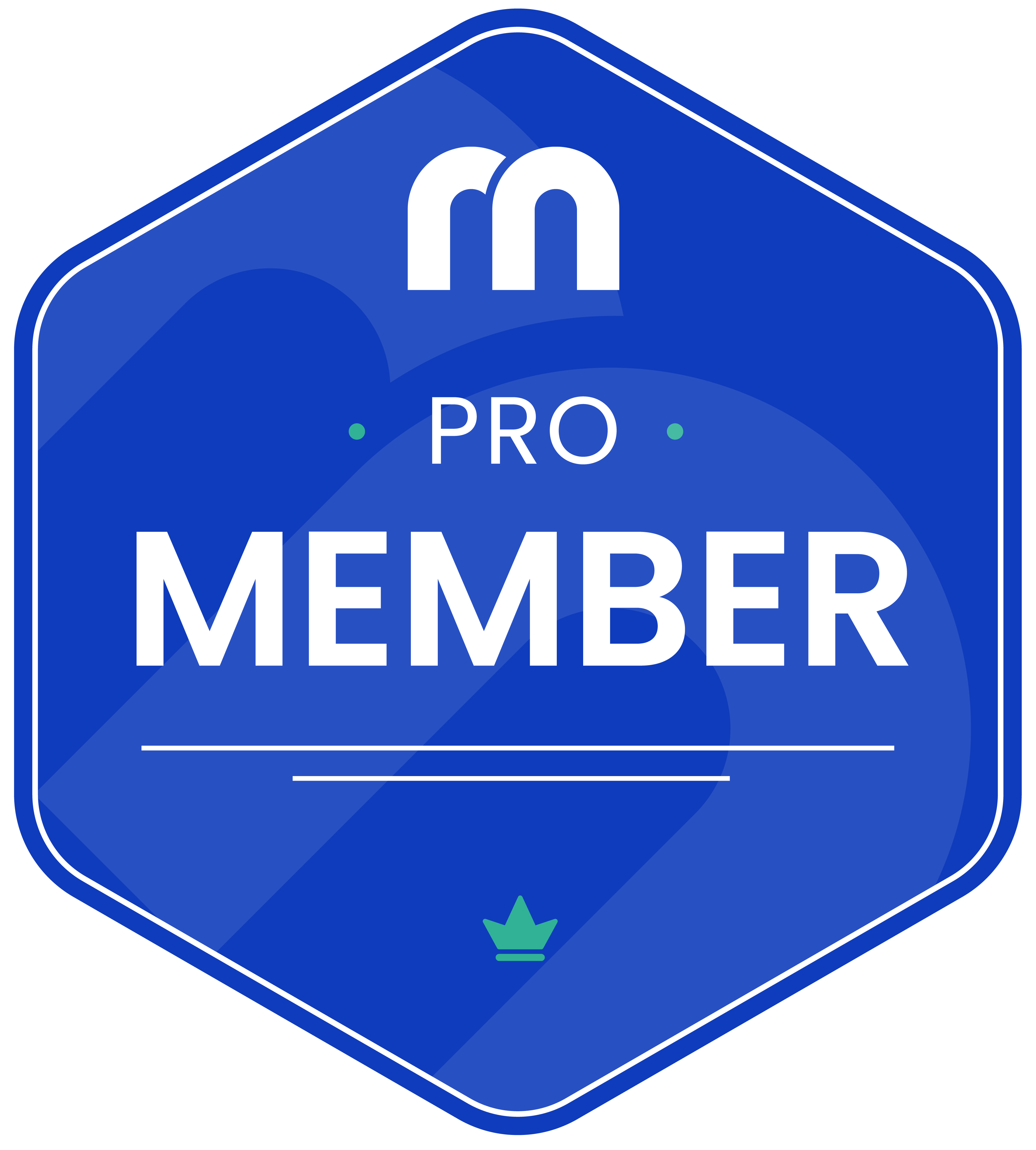 Revenue marketing alliance pro membership badge
