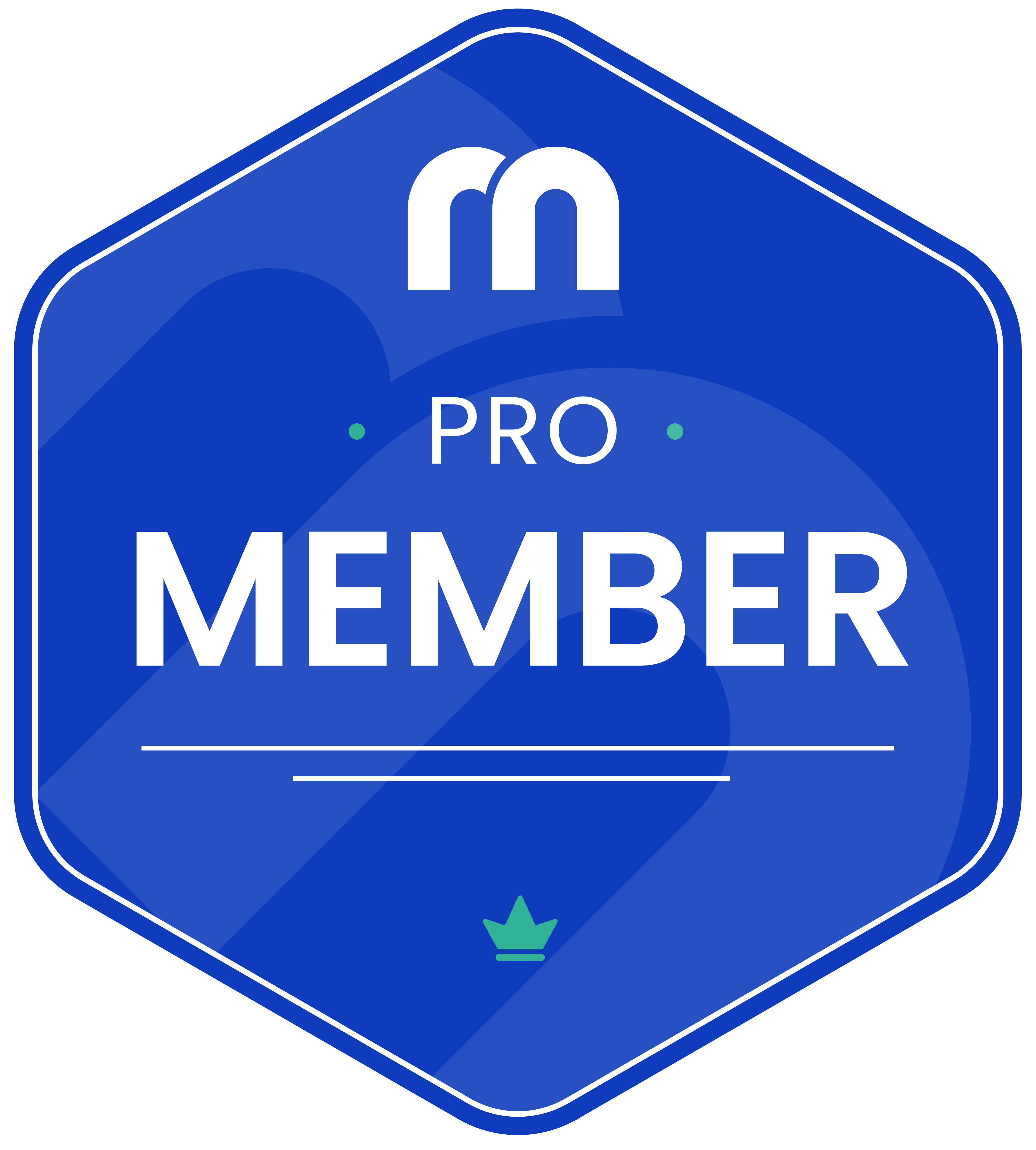 revenue marketing alliance pro membership badge