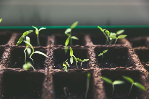 The best competitive strategy for each stage in the business lifecycle