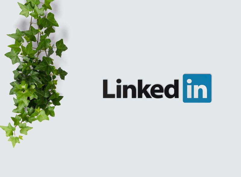 Setting up your brand's LinkedIn page for success