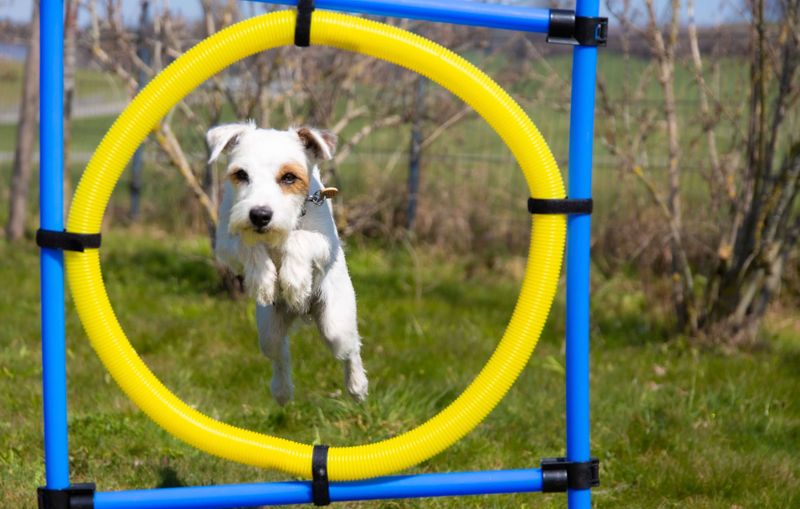 Agile marketing: what is it and how can it benefit your B2B brand?