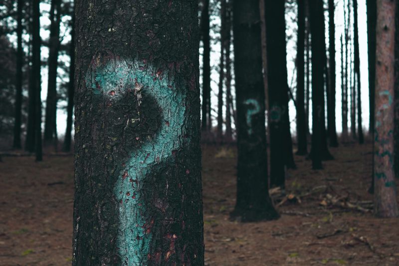 Agile account-based marketing: why and how?