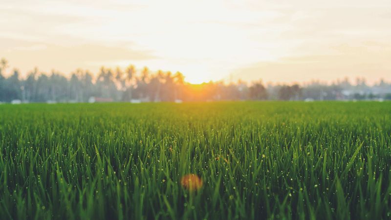 The pros and cons of paid vs organic social media for B2B marketing