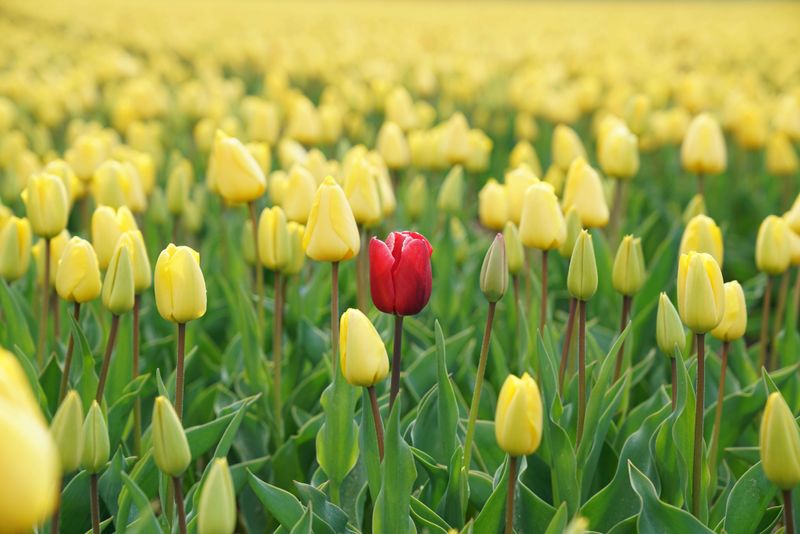 Identifying the right accounts for ABM
