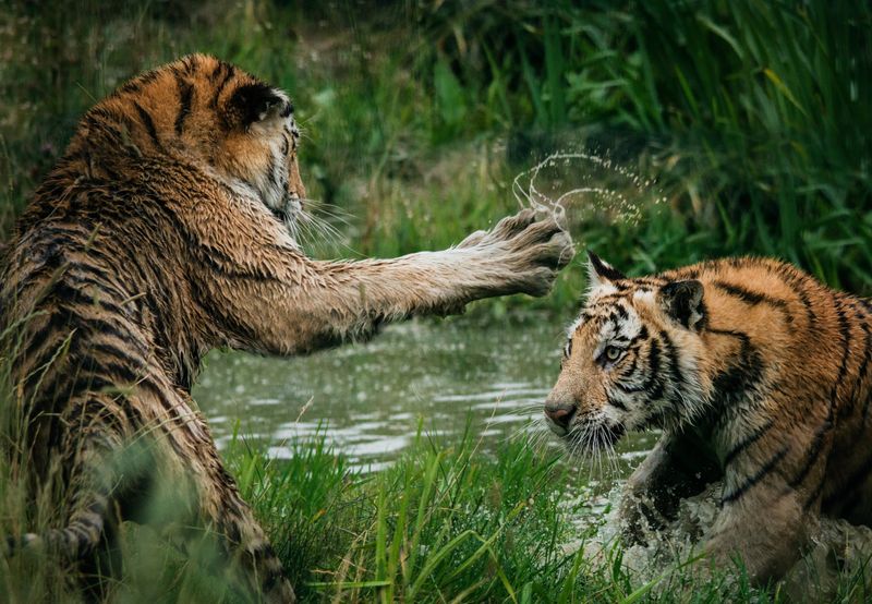 The battle between sales and marketing