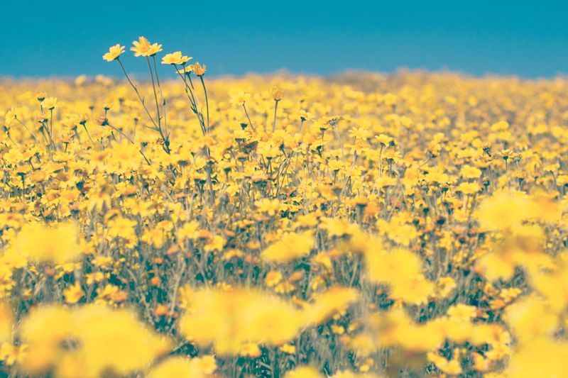 Demand generation strategies to grow your organization
