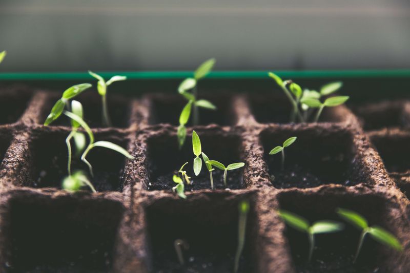Innovating ABM to optimize buyer experience and revenue growth
