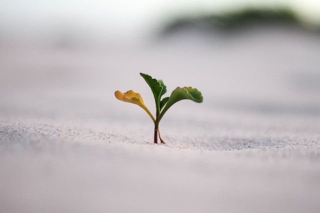 The business impact of revenue enablement